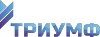 Триумф: интернет-решения для госструктур и бизнеса