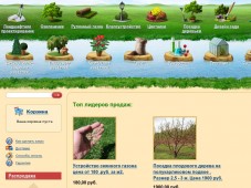 Ландшафтный дизайн : ландшафтный  дизайн участка : Интернет-магазин растений